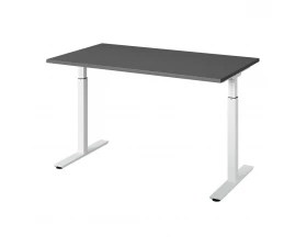 Стол Ergostol Regus Pro images