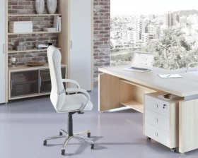 Кабинет руководителя Master (df) images