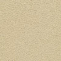 CONSUL-Dune-1515-Y40R